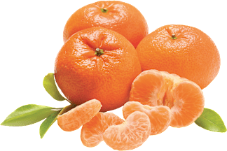 Mandarinen "Nadorcott"
