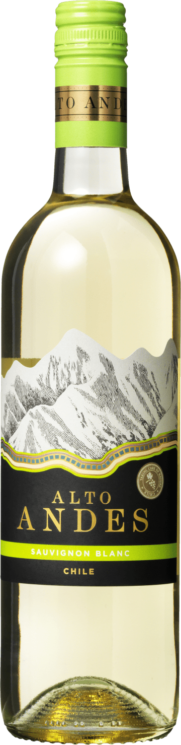 Alto Andes 