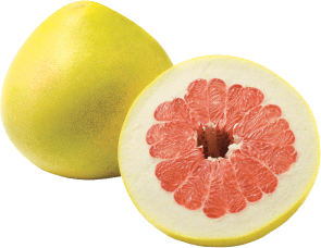 Pomelo rot