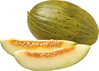 Futuromelone " Piel de Sapo"