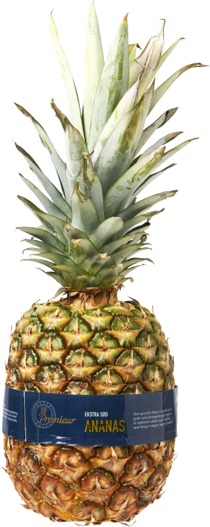 Premieur ananas