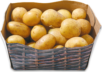 Speisekartoffeln