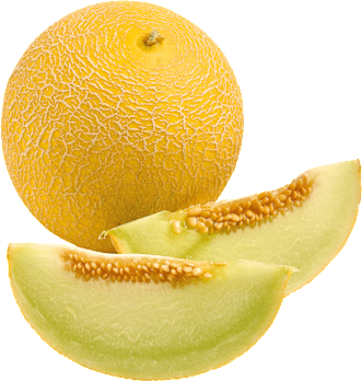 Galiamelone