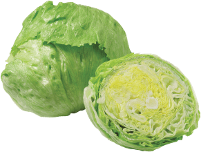 GO Regio Eisbergsalat