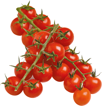 Cherrytomaten Miss Perfect rot