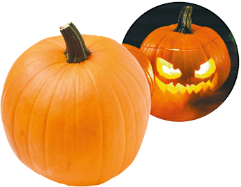 Halloween Kürbis