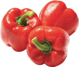 PAPRIKA ROT 