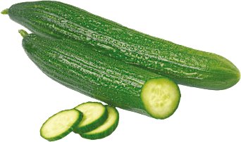 GO BIO Gurke