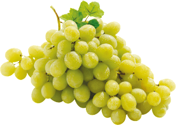 Trauben Candy