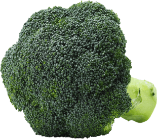 Broccoli