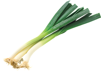 Poree aus Deutschland