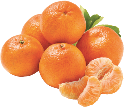 MANDARINEN "NADORCOTT"