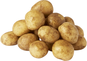ØGO økologiske kartofler
