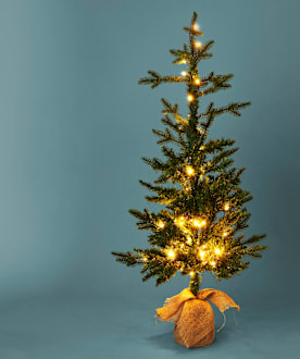Juletræ med lyskæde