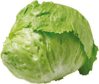 GO Regio  Eisbergsalat