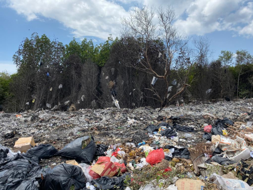 ocean plastic forum affald taet paa skov