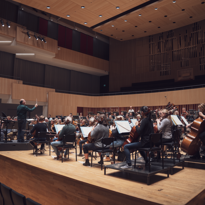 aarhus symfoniorkester orkester med dirigent set sidevendt