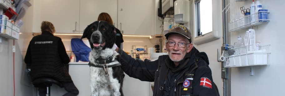 Dyreværnet En hjemløs og hans hund