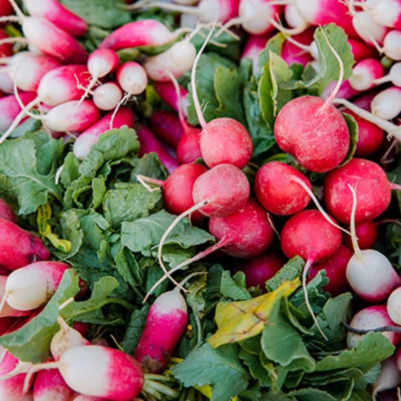 Grøntsager i sæson i april. Radiser.