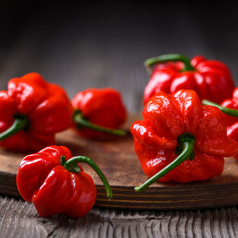 Røde habanero chilier på bord