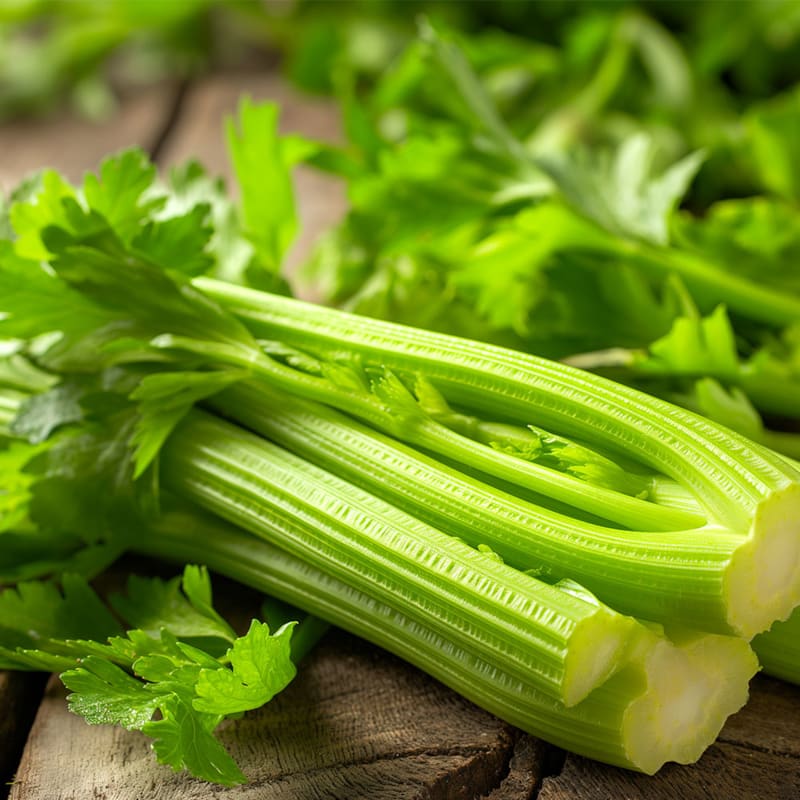Bladselleri stængler på bord