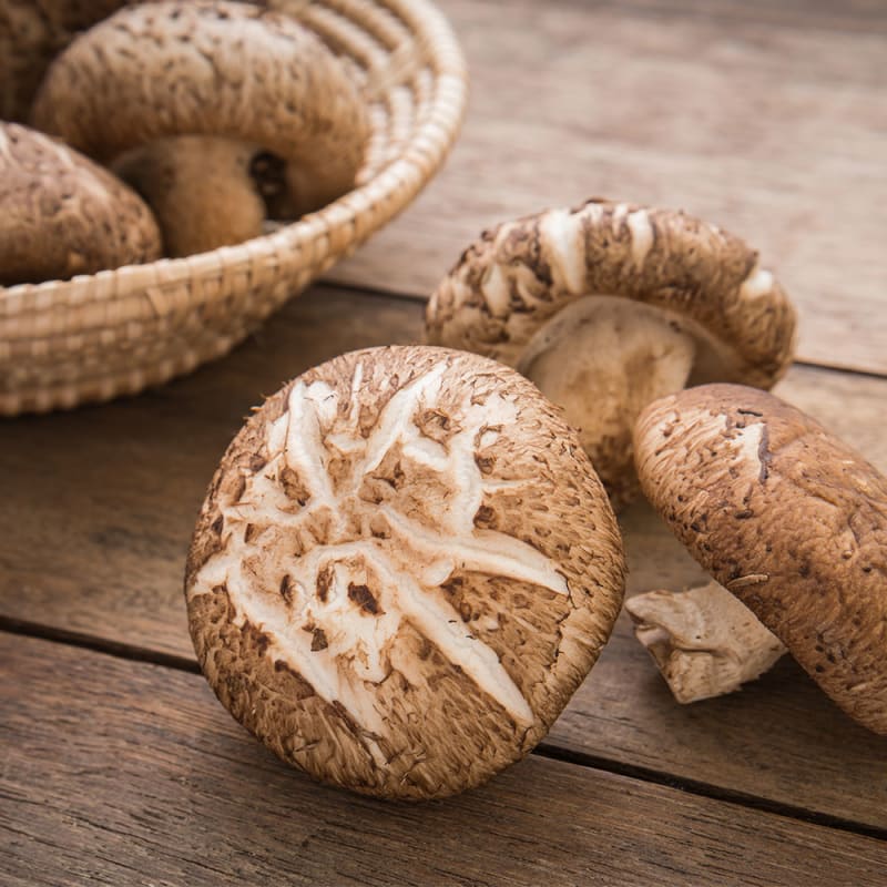 Tre shiitake svampe på bord