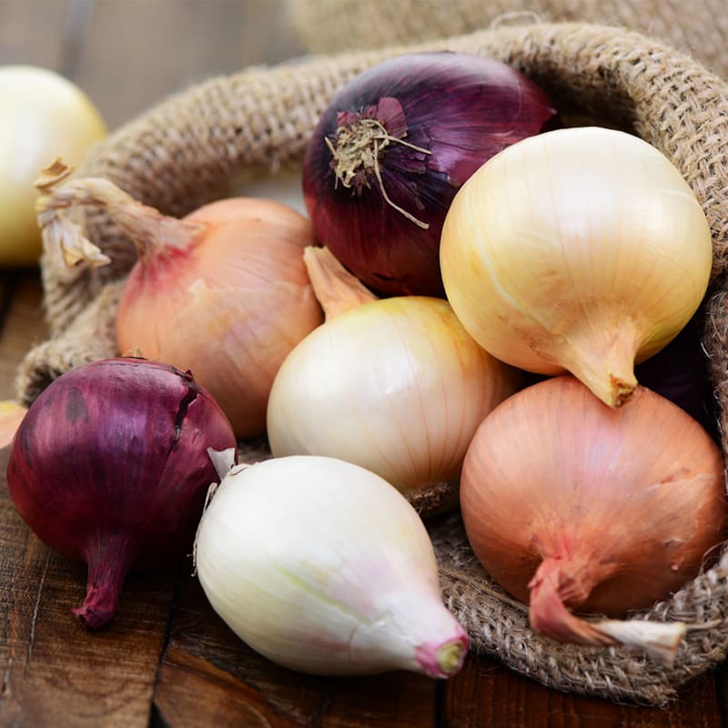 Forskellige sorter løg på bord