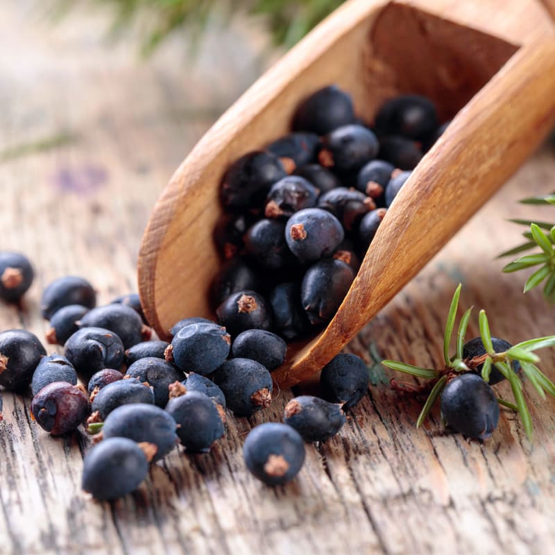 Friske enebær på bord