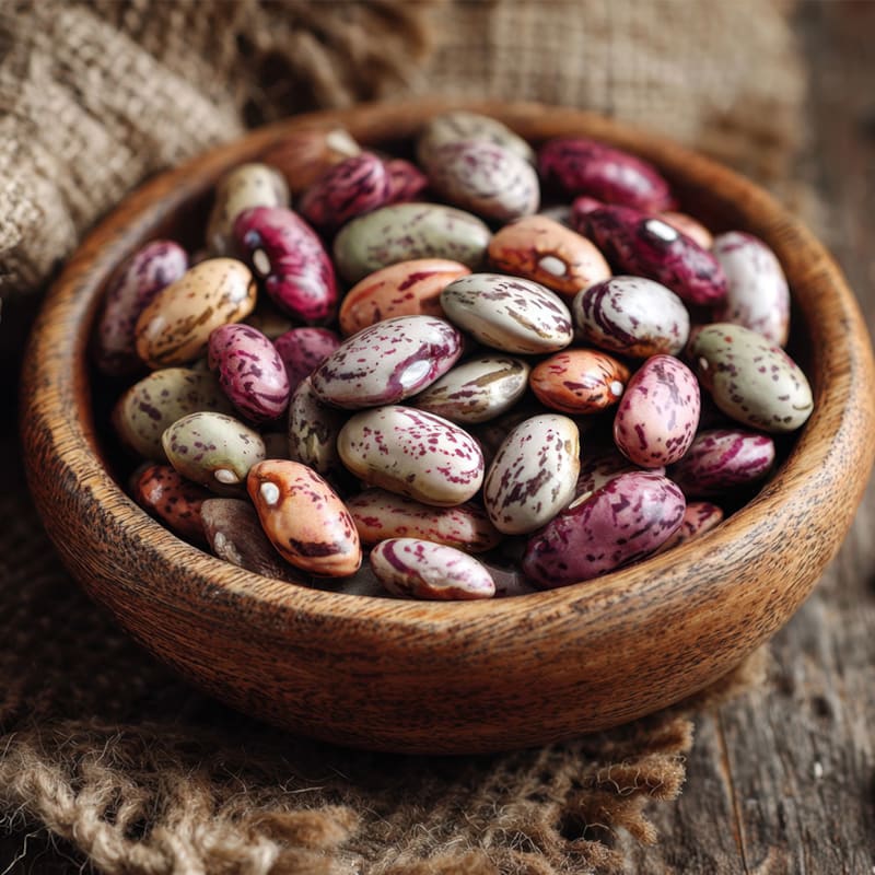 Få viden om borlottibønner hos BilkaToGo