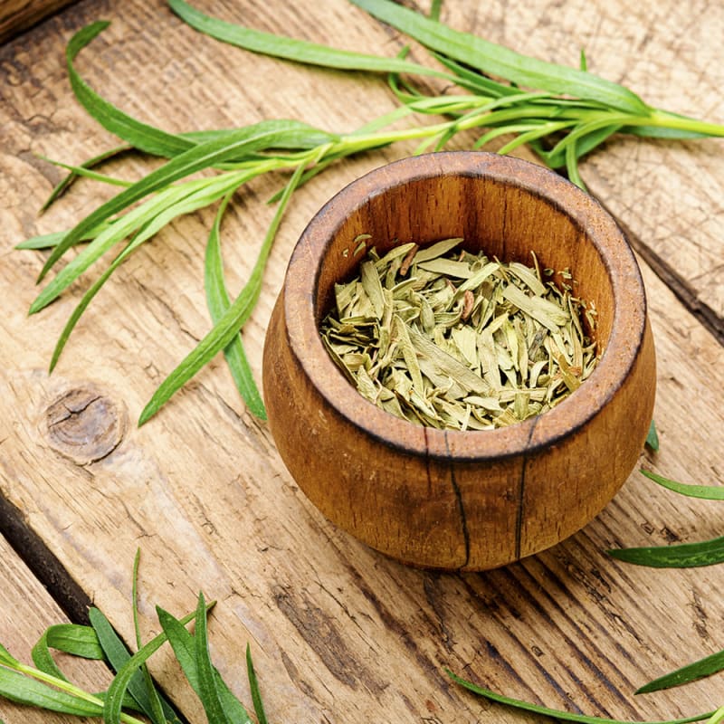 Frisk og tørret estragon på træbord.