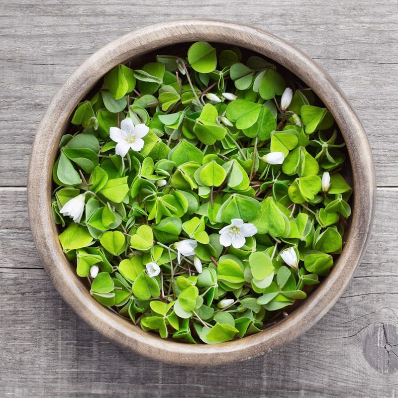 Skovsyre i træskål