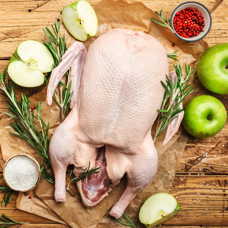 Få viden om gås hos BilkaToGo