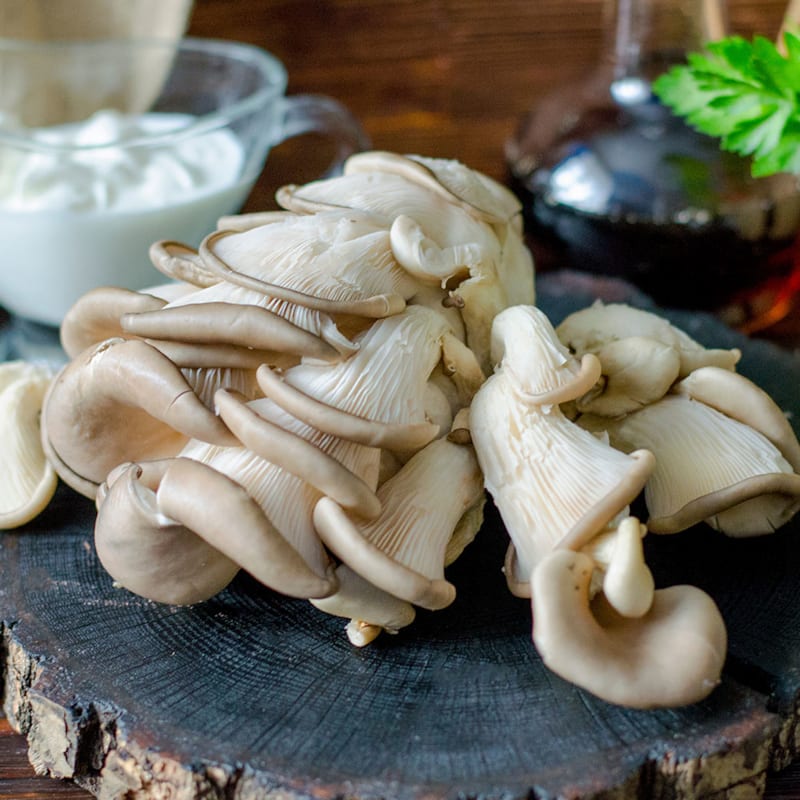 Østershatte svampe på tallerken