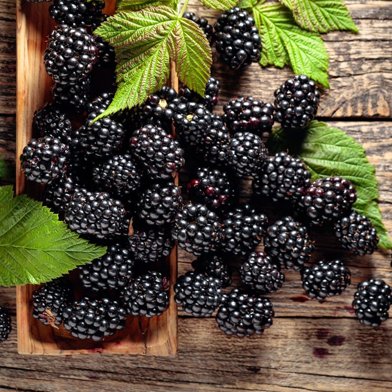 Friske brombær på skærebræt