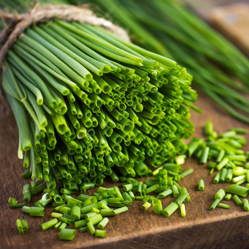 Få viden om purløg hos BilkaToGo