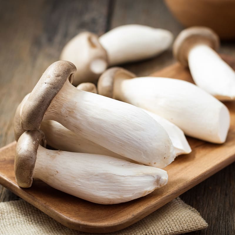 Kejserhat svampe i skål