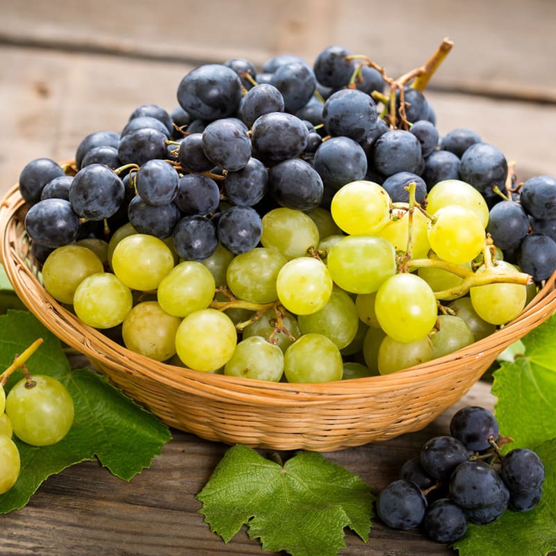 Få viden om vindruer hos BilkaToGo