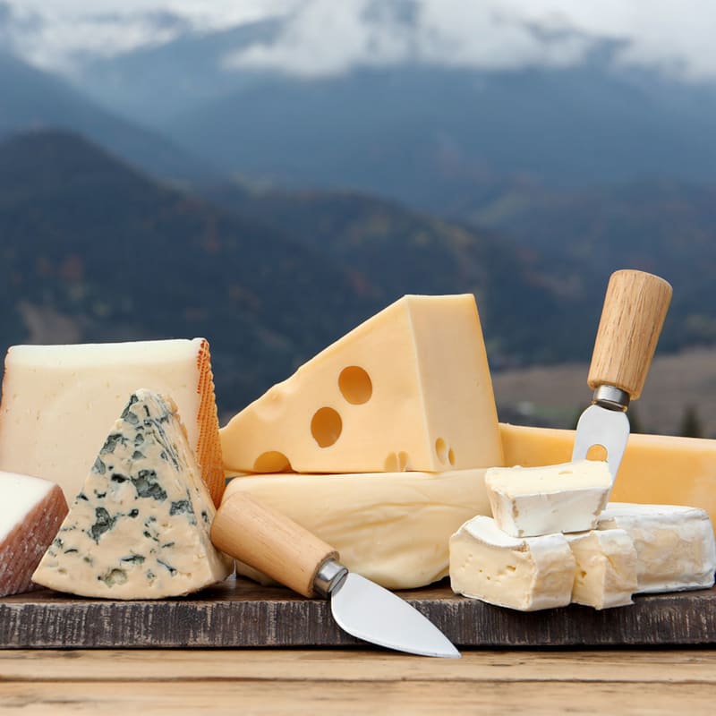 Forskellige oste på skærebræt med bjergudsigt i baggrunden
