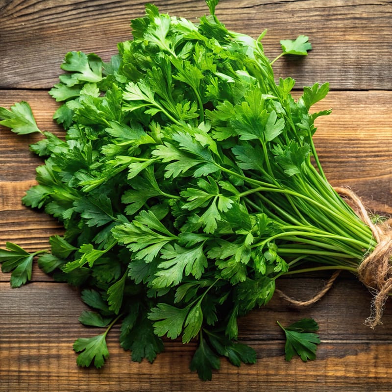 Bundt af frisk kørvel på bord