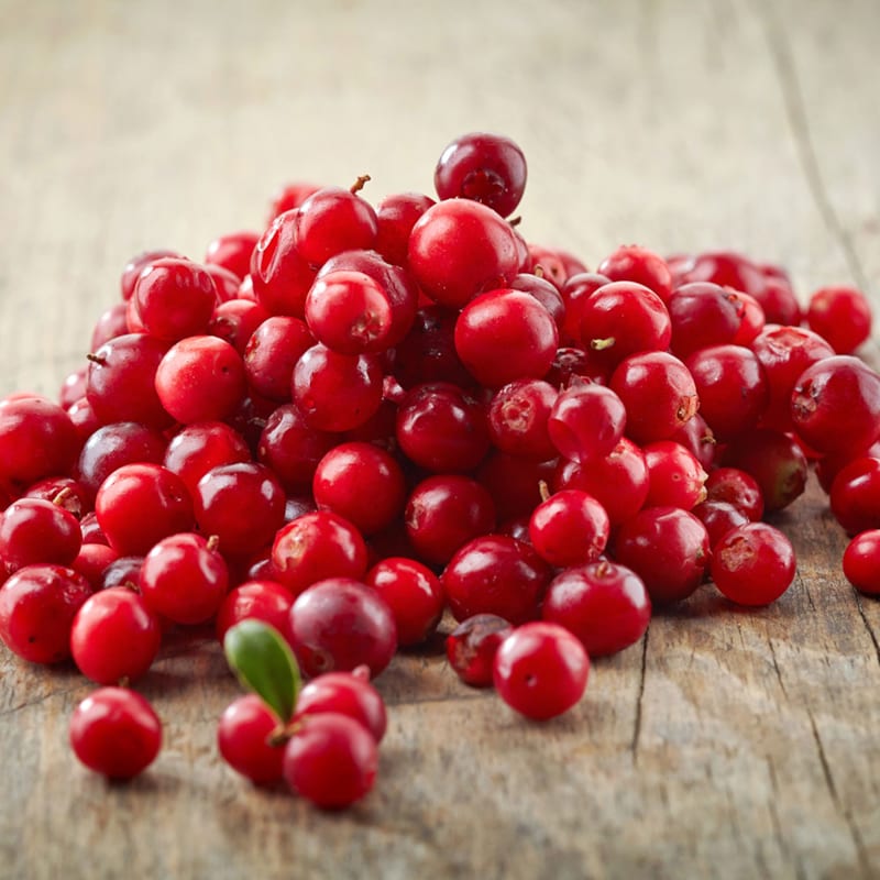 Få viden om tyttebær hos BilkaToGo