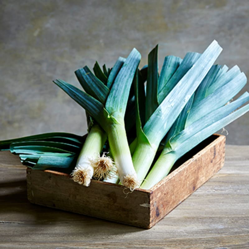 Grøntsager i sæson i januar. Porre. 