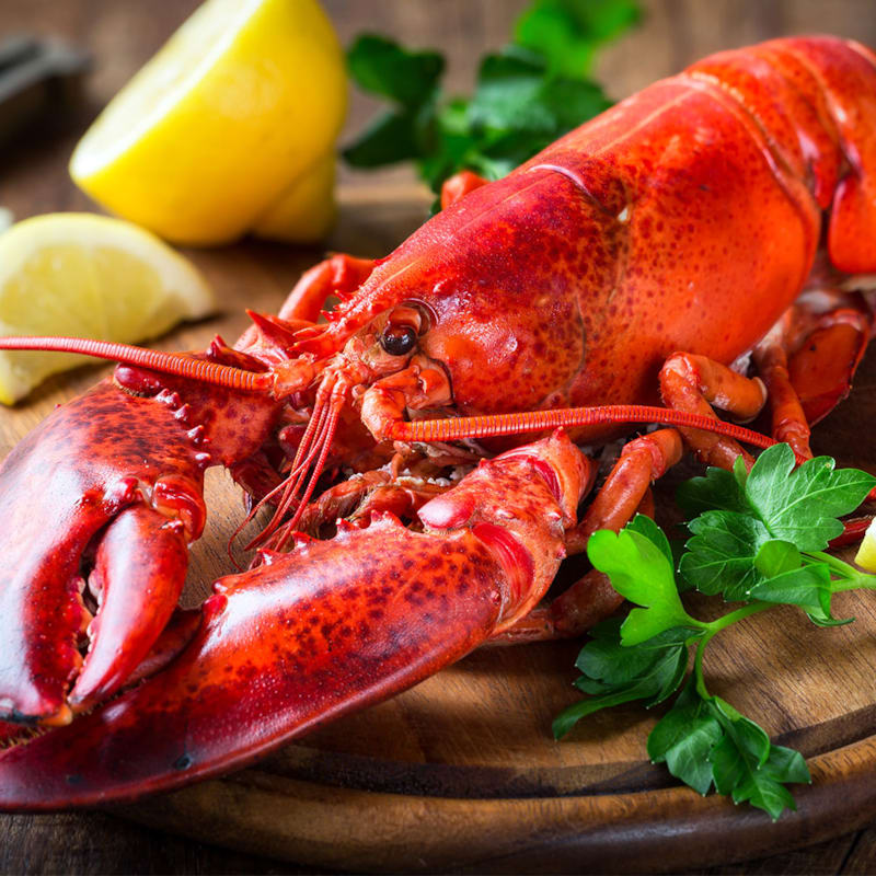 Rød hummer på skærebræt