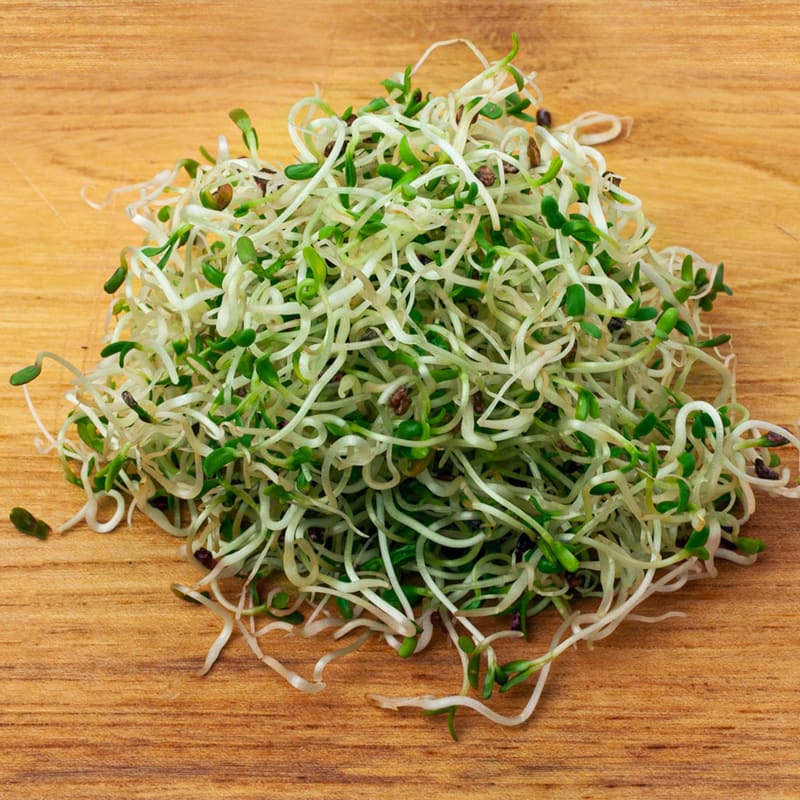 Friske lucernespirer på bord