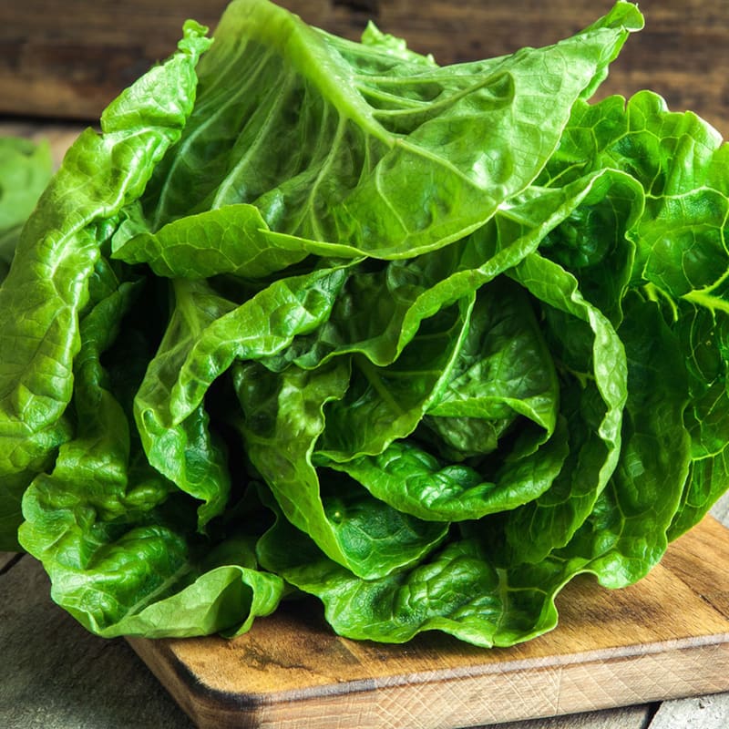Grønt hovedsalat på skærebræt
