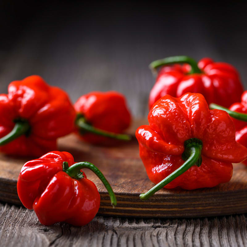 Røde habanero chilier på bord