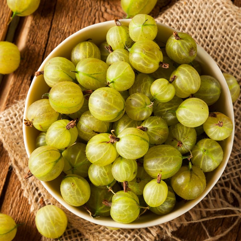 Få viden om stikkelsbær hos Bilka