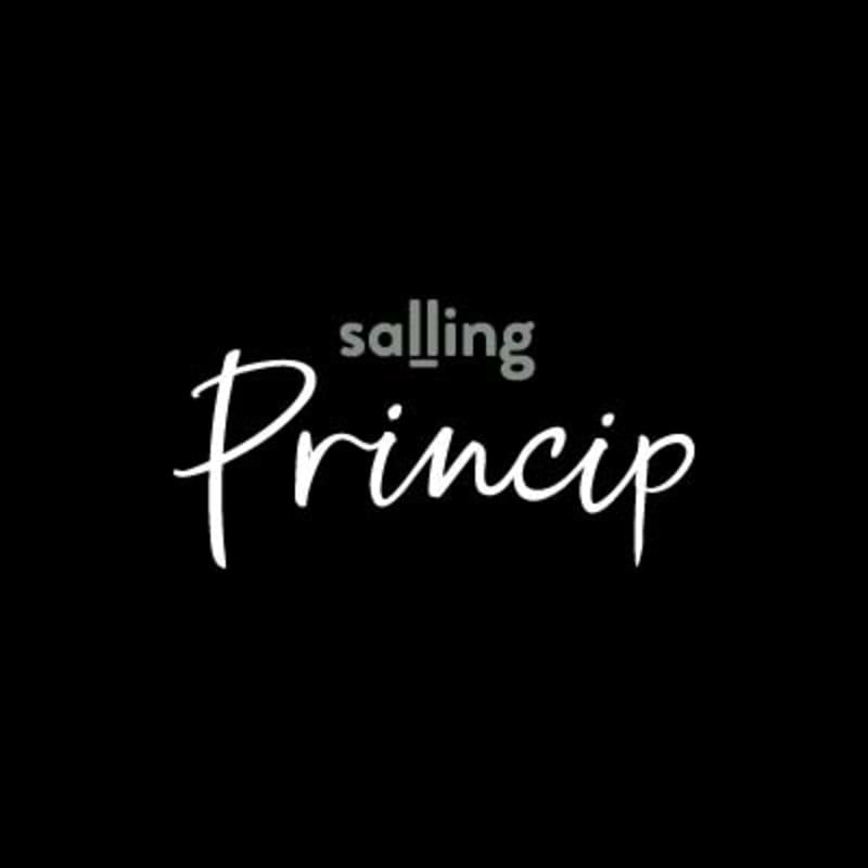 Salling Princip logo