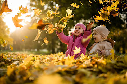 Sjove og Hyggelige Efterårsaktiviteter for Børn - Få Gode Idéer med Fætter BR her på BR.dk 