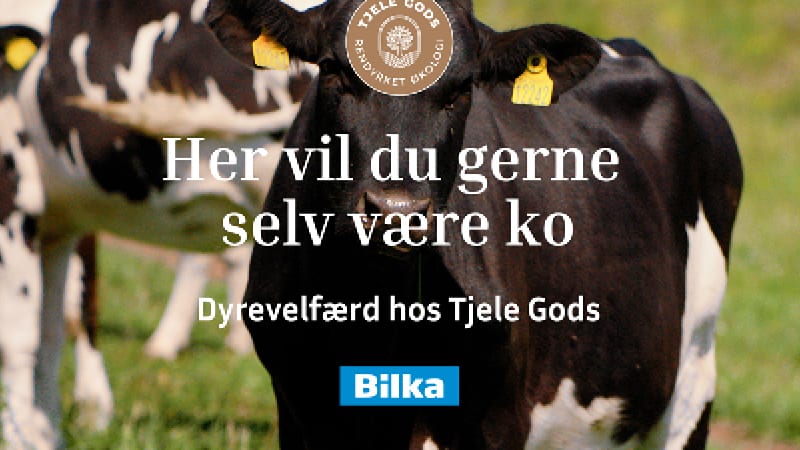Find Tjele Gods hos BilkaToGo.