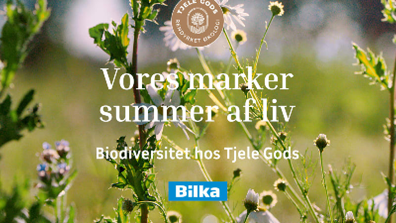 Find Tjele Gods hos BilkaToGo.